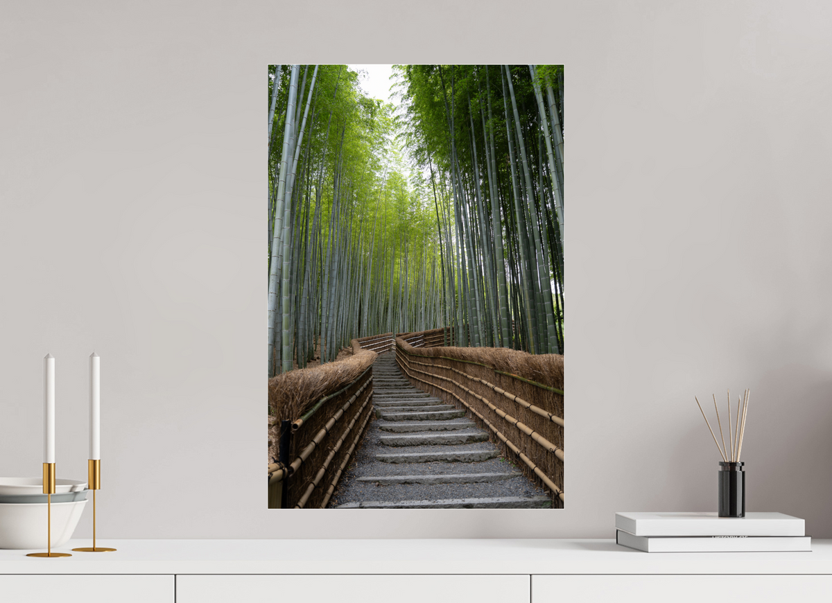 40 x 60 cm, Photo Print Under Acrylic Glass Into the Green