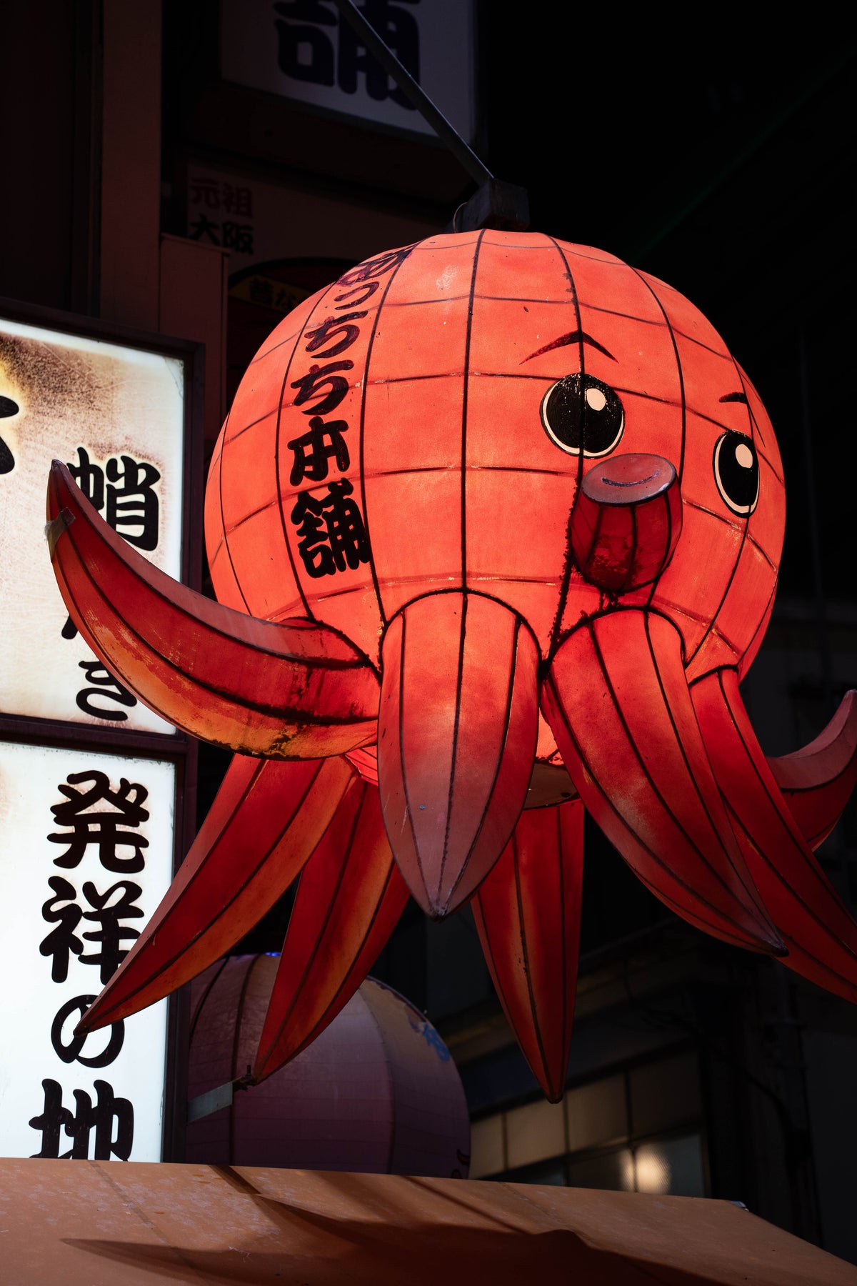 The Octopus