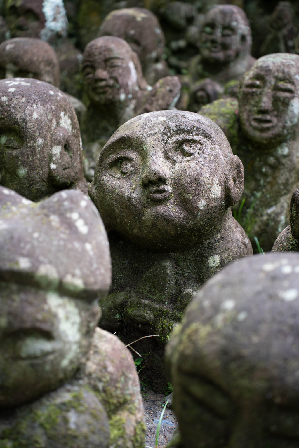 The Watchers