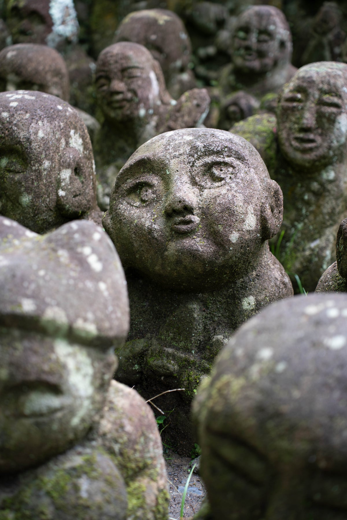 The Watchers