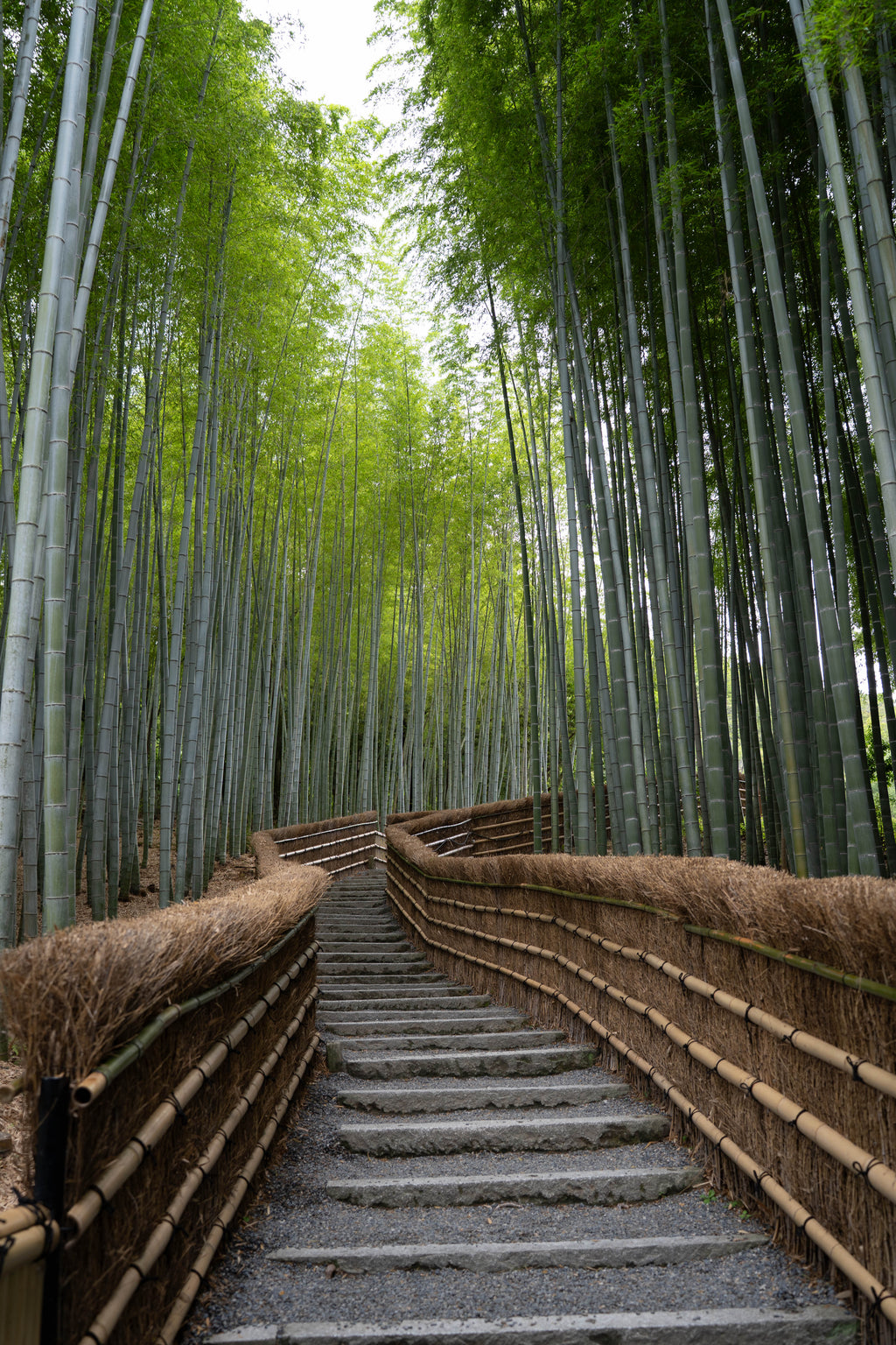 Into the Green