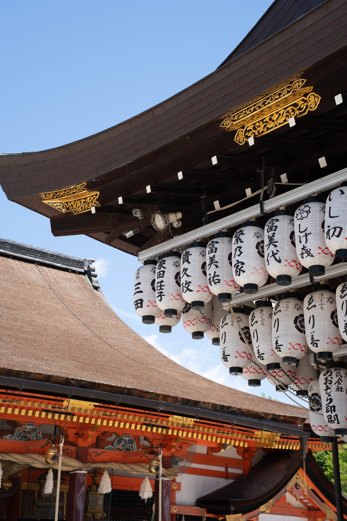 Temple Lines
